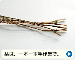 �J�����V����������p�����萻��H��